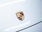 2025 Porsche Macan Electric Base