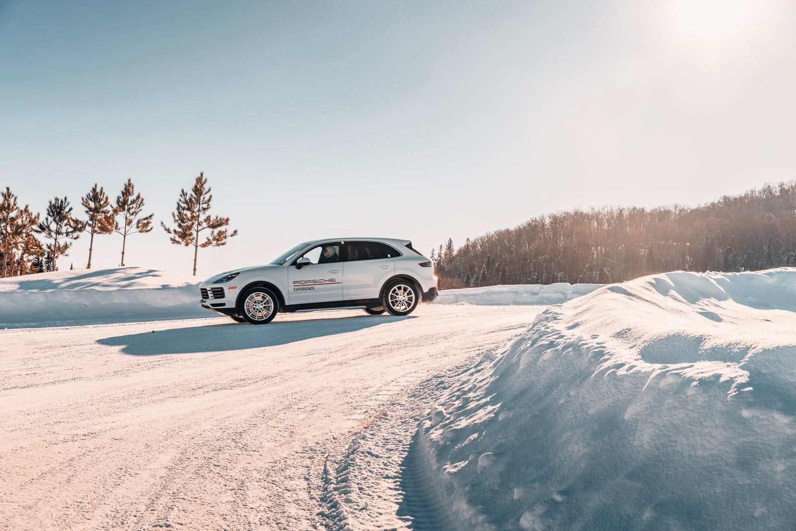 Porsche Palm Springs Porsche 911 Carrera