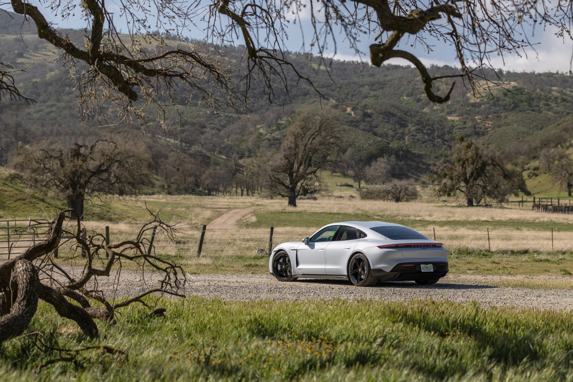  2023 Porsche Taycan Back View in Palm Springs CA